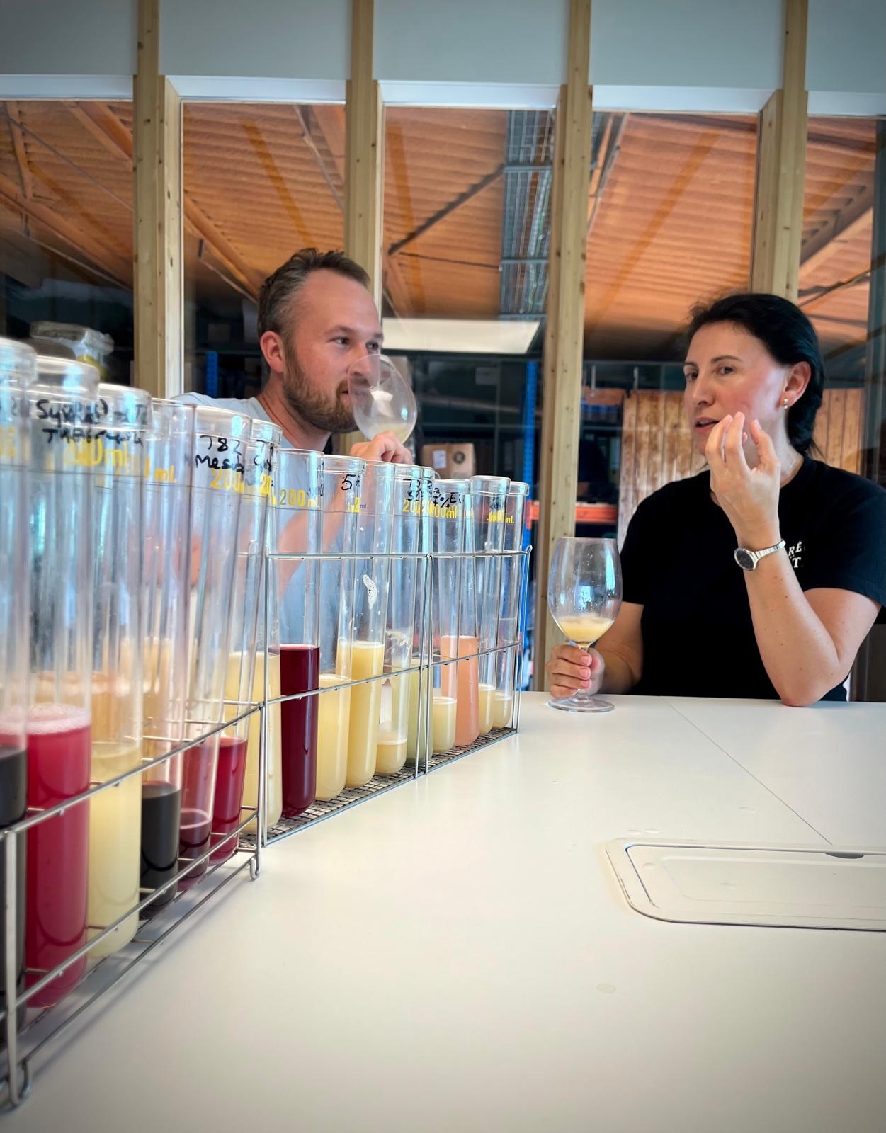Prøvesmaking av vinprøver i merkede glassylindre på et arbeidsbord