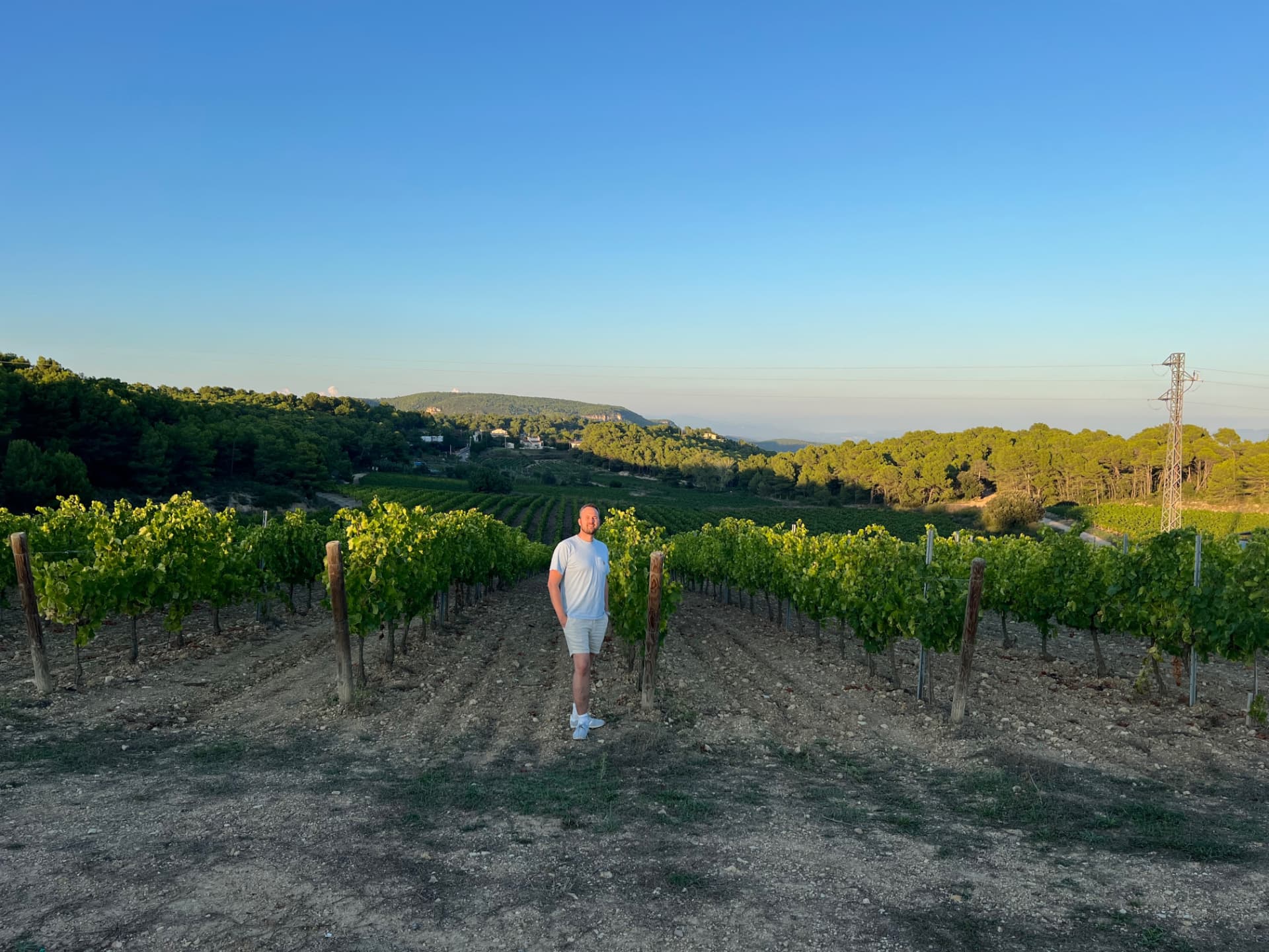 Gorm Grømer mellom vinrankene i Penedès